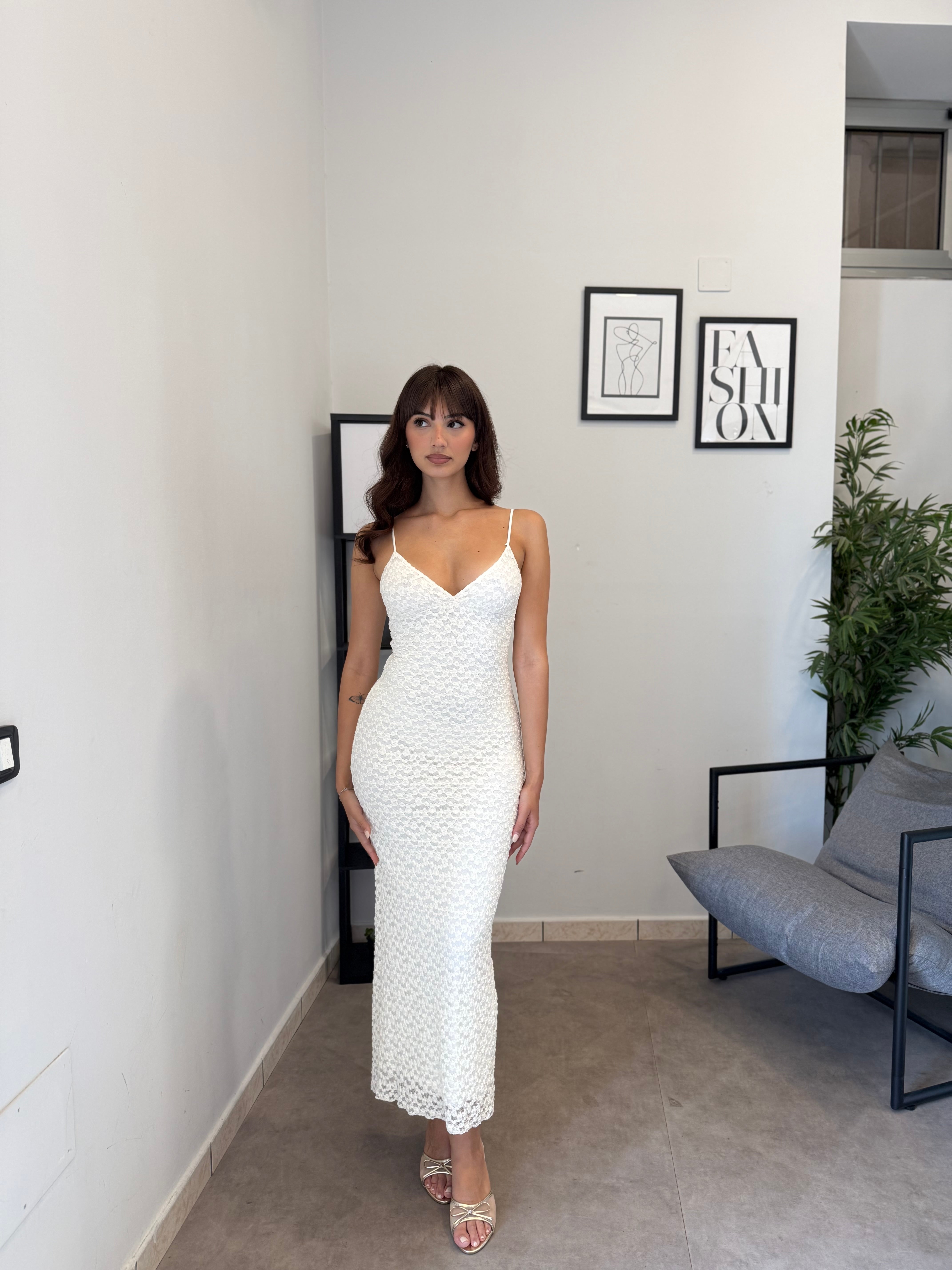Immagine diapositiva